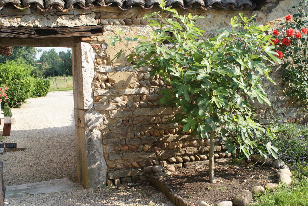 Bed and Breakfast Le Moulin De Champagne Viriat Exterior foto
