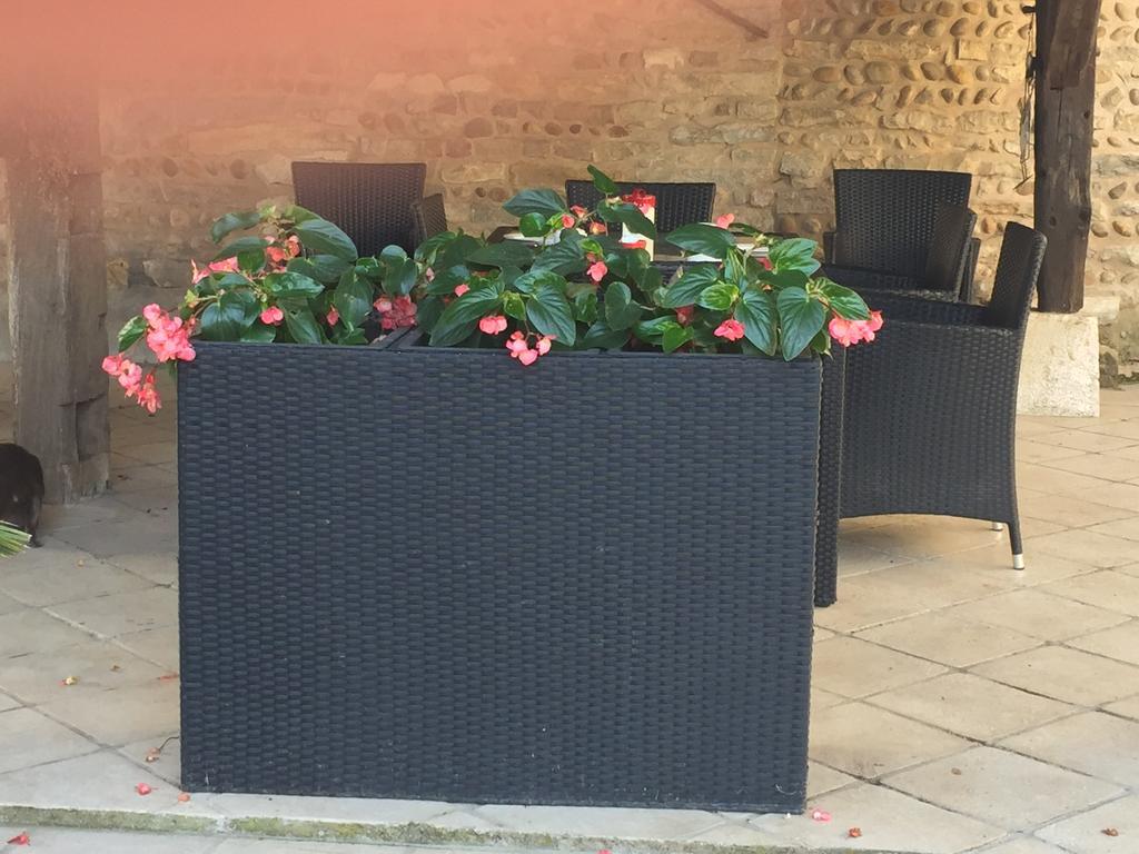 Bed and Breakfast Le Moulin De Champagne Viriat Exterior foto