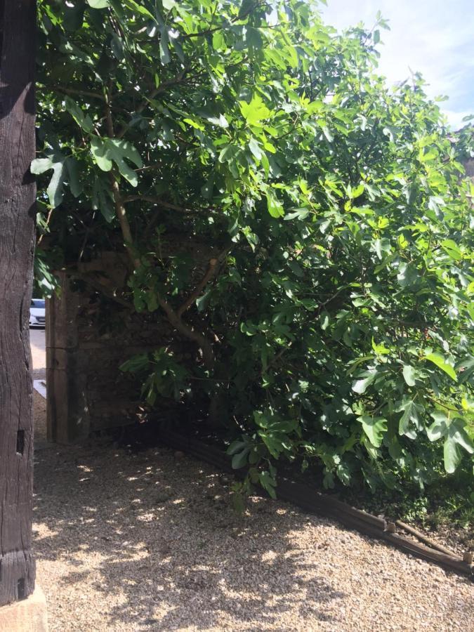 Bed and Breakfast Le Moulin De Champagne Viriat Exterior foto